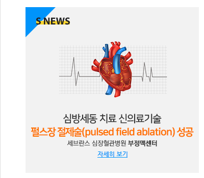 심방세동 치료 신의료기술 펄스장 절제술(pulsed field ablation) 성공 세브란스 심장혈관병원 부정맥센터