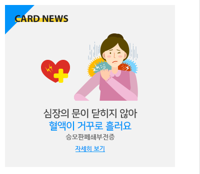 심장의 문이 닫히지 않아 혈액이 거꾸로 흘러요 승모판폐쇄부전증