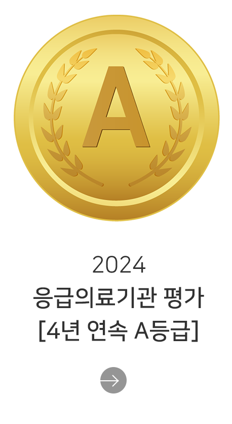 2024 응급의료기관 평가 A등급 획득