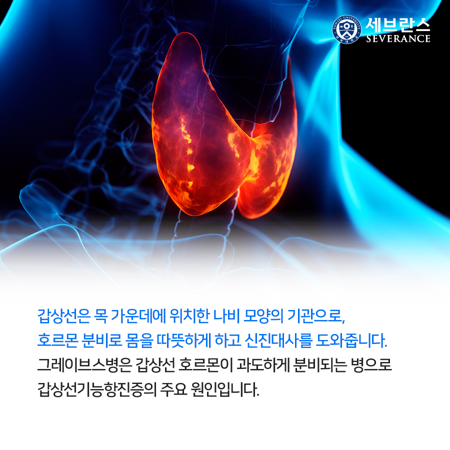 갑상선은 목 가운데에 위치한 나비 모양의 기관으로, 호르몬 분비로 몸을 따뜻하게 하고 신진대사를 도와줍니다. 그레이브스병은 갑상선 호르몬이 과도하게 분비되는 병으로 갑상선기능항진증의 주요 원인입니다.