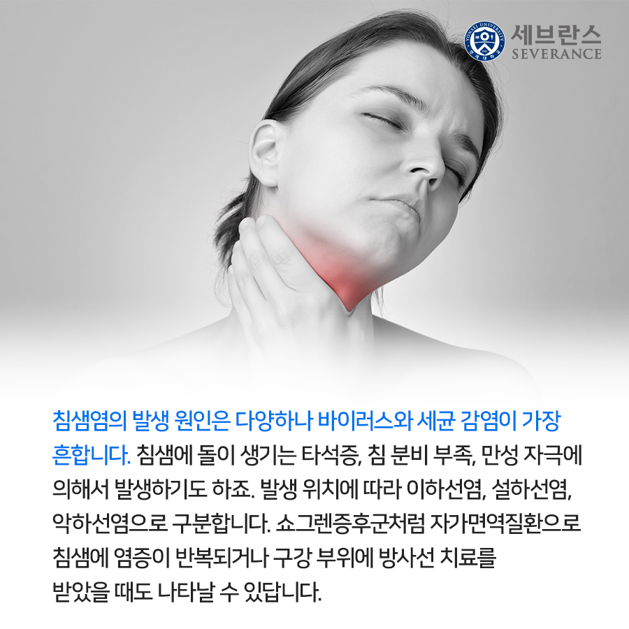 침샘 구조 이미지