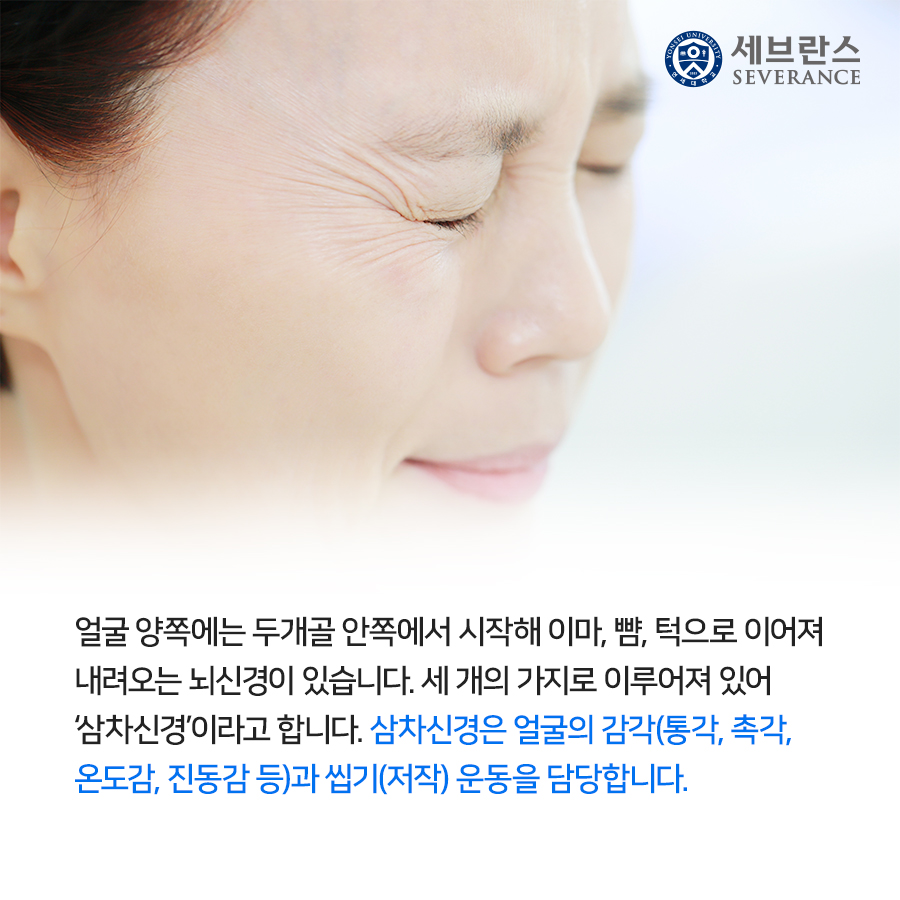 얼굴 양쪽에는 두개골 안쪽에서 시작해 이마, 뺨, 턱으로 이어져 내려오는 뇌신경이 있습니다. 세 개의 가지로 이루어져 있어 ‘삼차신경’이라고 합니다. 삼차신경은 얼굴의 감각(통각, 촉각, 온도감, 진동감 등)과 씹기(저작) 운동을 담당합니다.