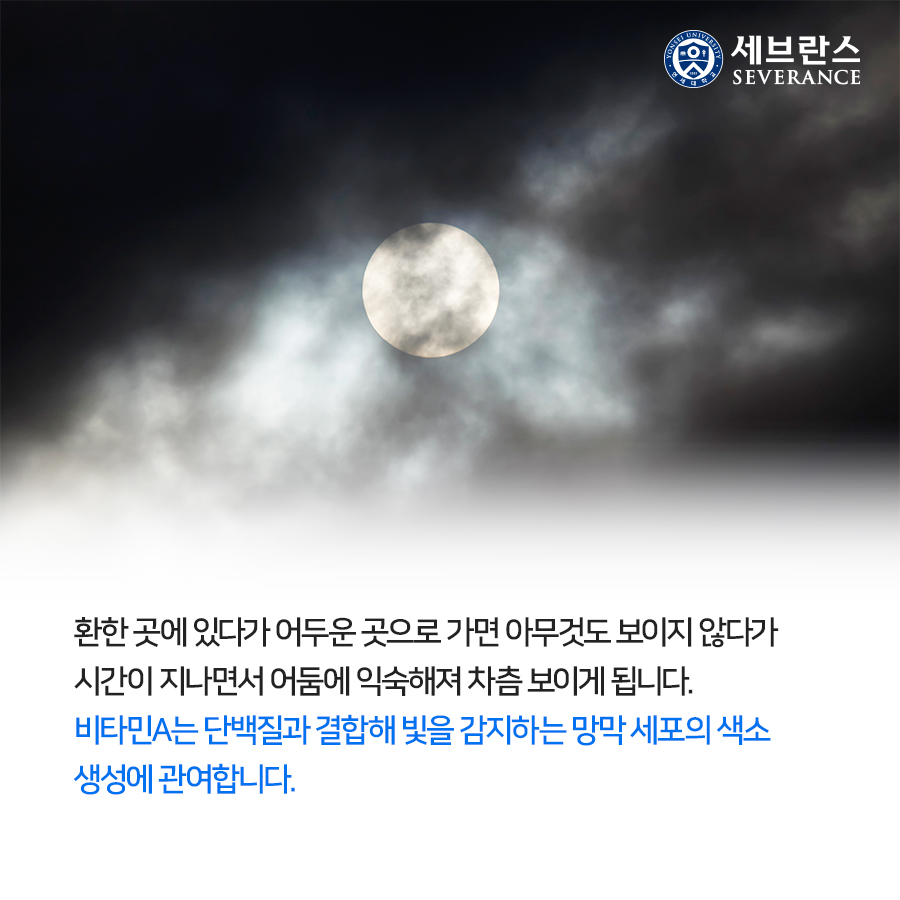 환한 곳에 있다가 어두운 곳으로 가면 아무것도 보이지 않다가  시간이 지나면서 어둠에 익숙해져 차츰 보이게 됩니다.  비타민A는 단백질과 결합해 빛을 감지하는 망막 세포의 색소  생성에 관여합니다. 