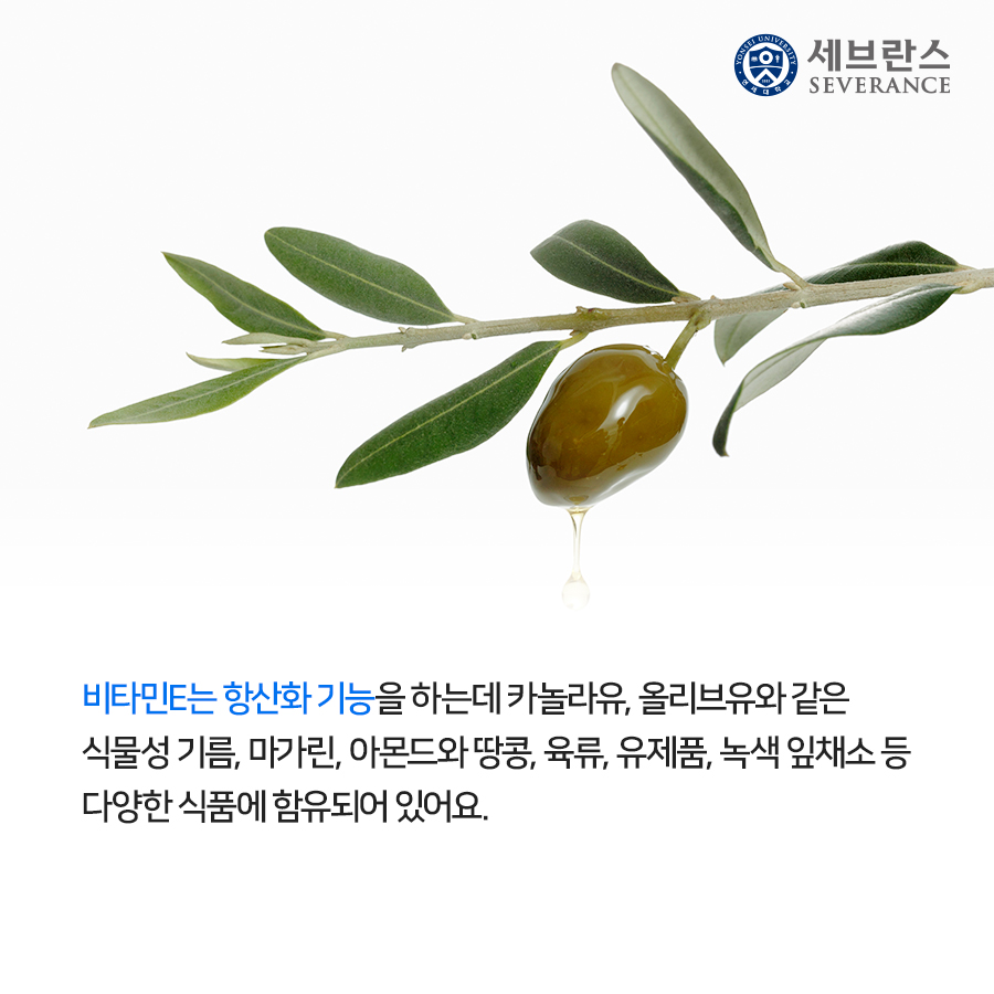 비타민 E는 항산화 기능을 하는데 카놀라유, 올리브유와 같은  식물성 기름, 마가린, 아몬드와 땅콩, 육류, 유제품, 녹색 잎채소 등  다양한 식품에 함유되어 있어요.