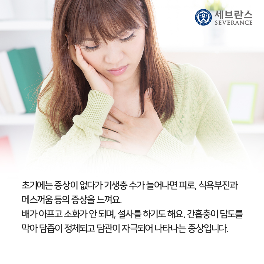 초기에는 증상이 없다가 기생충 수가 늘어나면 피로, 식욕부진과 메스꺼움 등의 증상을 느껴요. 배가 아프고 소화가 안 되며, 설사를 하기도 해요. 간흡충이 담도를 막아 담즙이 정체되고 담관이 자극되어 나타나는 증상입니다.