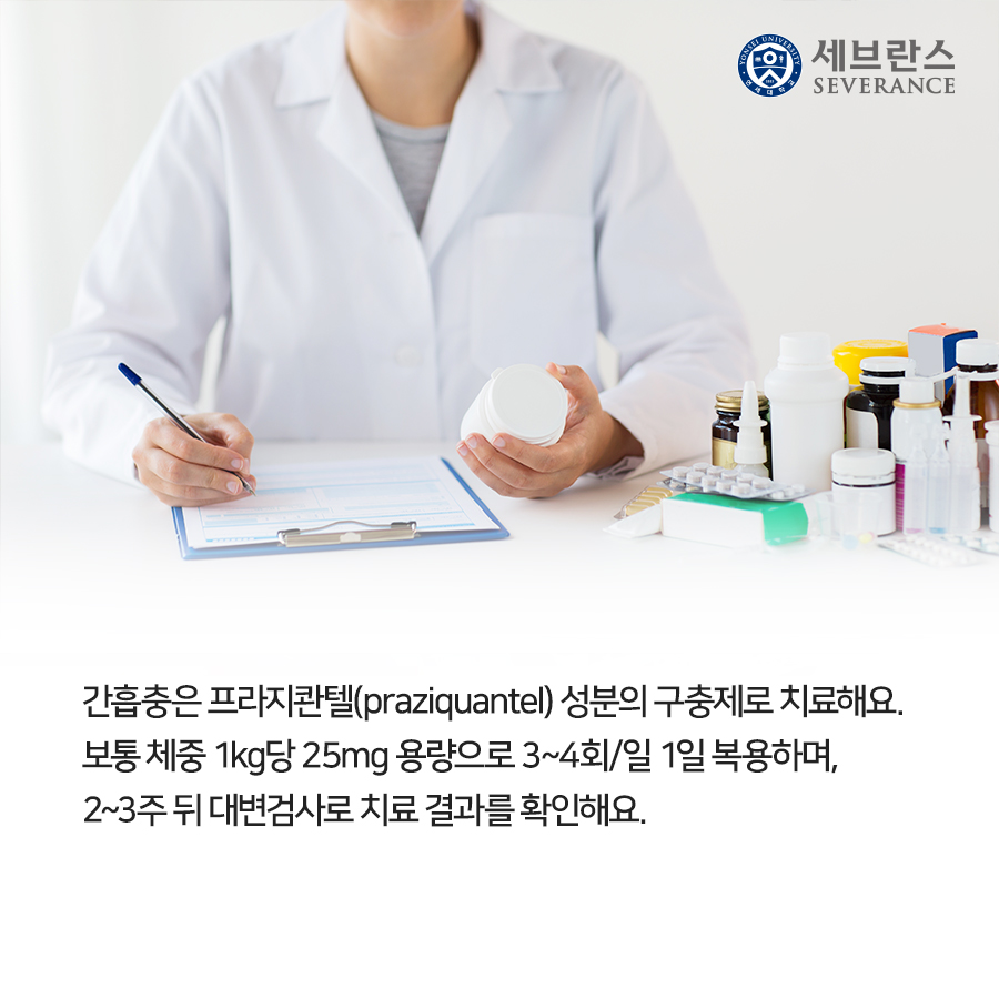 간흡충은 프라지콴텔(praziquantel) 성분의 구충제로 치료해요. 보통 체중 1kg당 25mg 용량으로 3~4회/일 1일 복용하며, 2~3주 뒤 대변검사로 치료 결과를 확인해요.