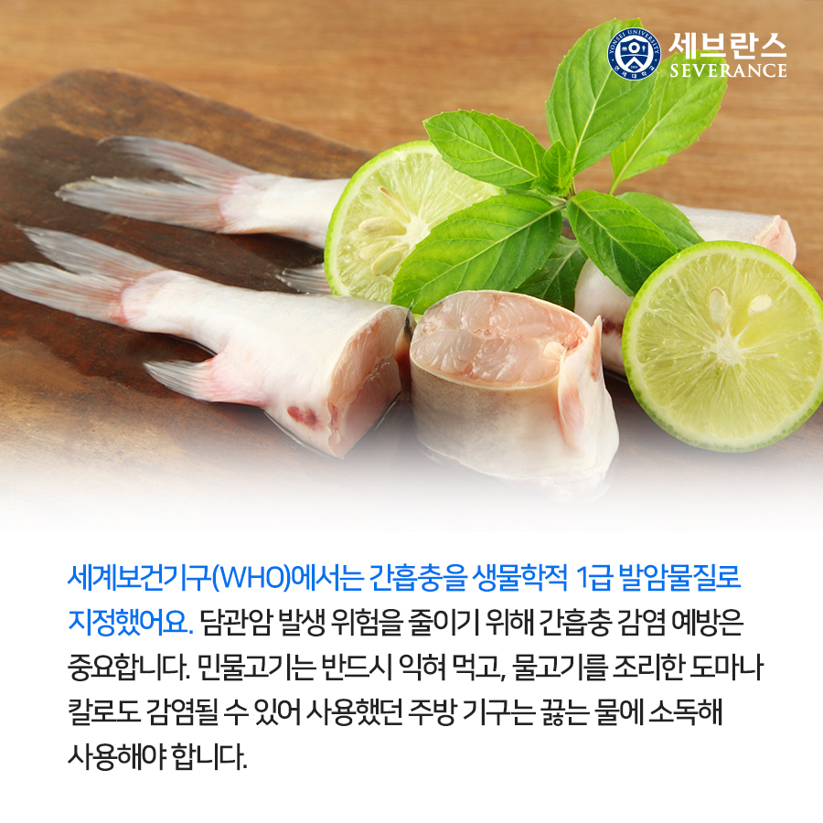 세계보건기구(WHO)에서는 간흡충을 생물학적 1급 발암물질로 지정했어요. 담관암 발생 위험을 줄이기 위해 간흡충 감염 예방은 중요합니다. 민물고기는 반드시 익혀 먹고, 물고기를 조리한 도마나 칼로도 감염될 수 있어 사용했던 주방 기구는 끓는 물에 소독해 사용해야 합니다.