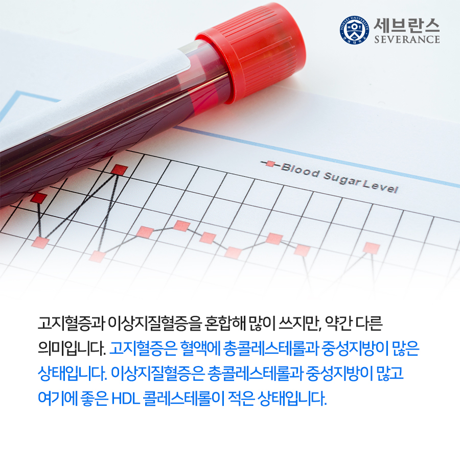 고지혈증과 이상지질혈증을 혼합해 많이 쓰지만, 약간 다른 의미입니다. 고지혈증은 혈액에 총콜레스테롤과 중성지방이 많은 상태입니다. 이상지질혈증은 총콜레스테롤과 중성지방이 많고 여기에 좋은 HDL 콜레스테롤이 적은 상태입니다.