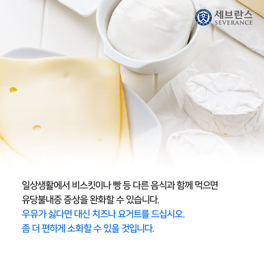 일상생활에서 비스킷이나 빵 등 다른 음식과 함께 먹으면 유당불내증 증상을 완화할 수 있습니다. 우유가 싫다면 대신 치즈나 요거트를 드십시오. 좀 더 편하게 소화할 수 있을 것입니다.