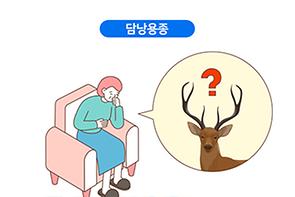 담낭용종