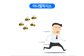 아나필락시스